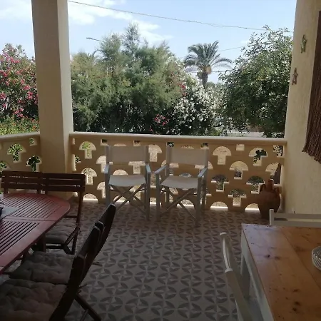 Carrube Fifty Meters From The Sea