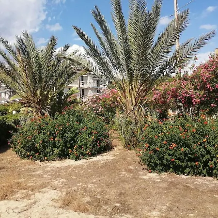 Carrube Fifty Meters From The Sea Pulsano