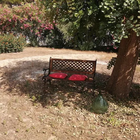 Carrube Fifty Meters From The Sea Holiday home *